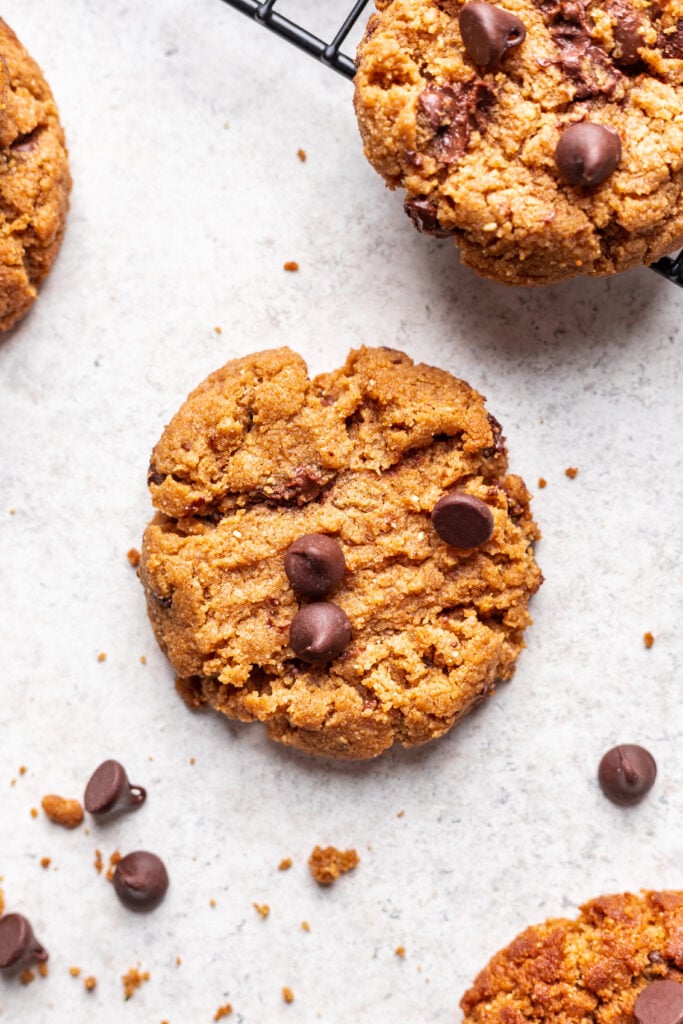 chocolate chip cookie on a grey background