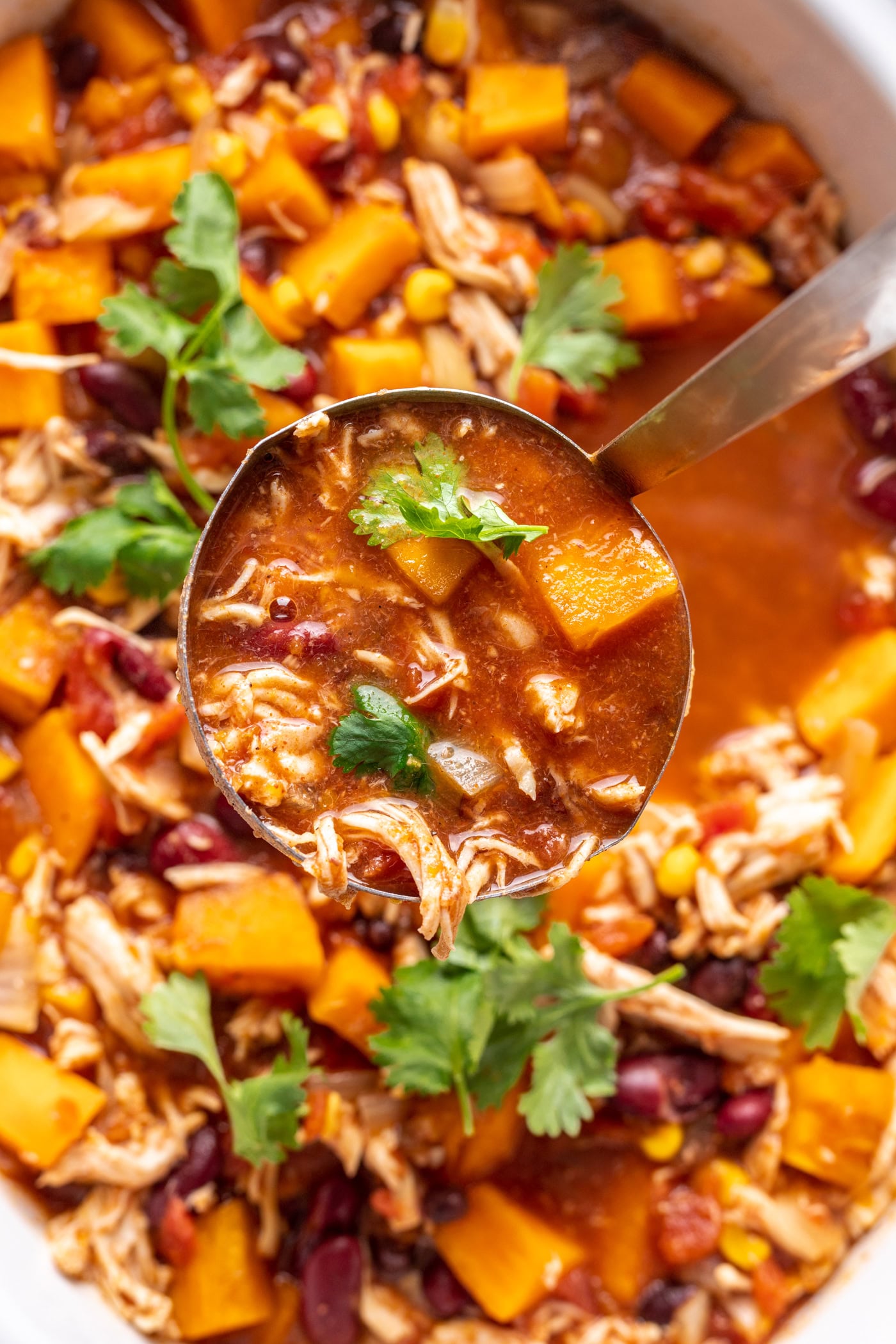 a ladle scooping chicken chili