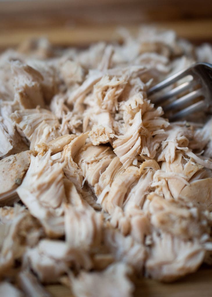 shredded chicken with a fork