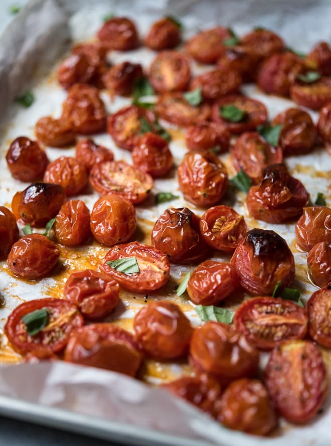 Oven Roasted Tomatoes & Burrata