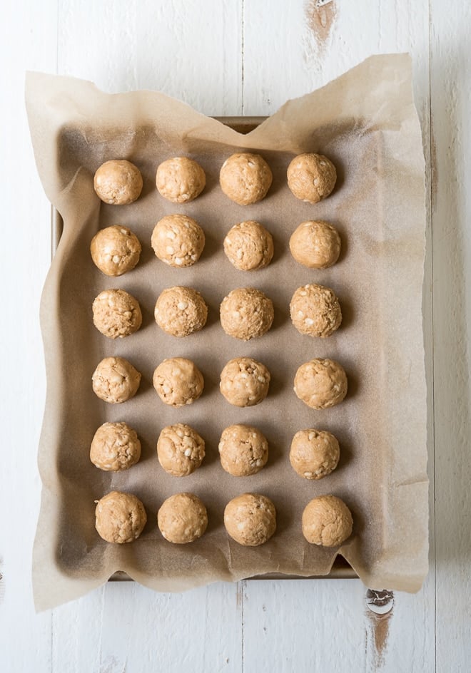 Chocolate Peanut Butter Bites