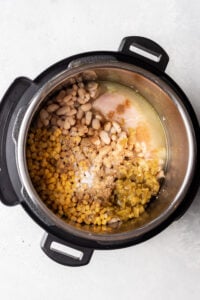 soup in an instant pot