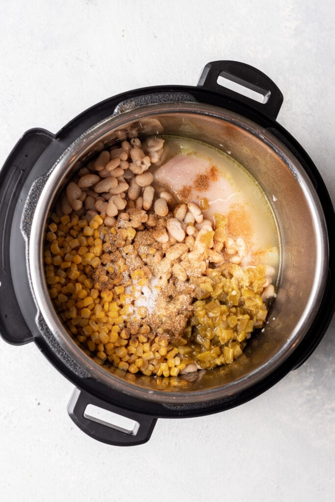 soup in an instant pot