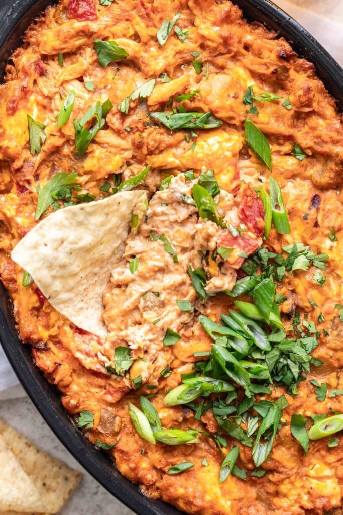 baked chicken dip with a chip
