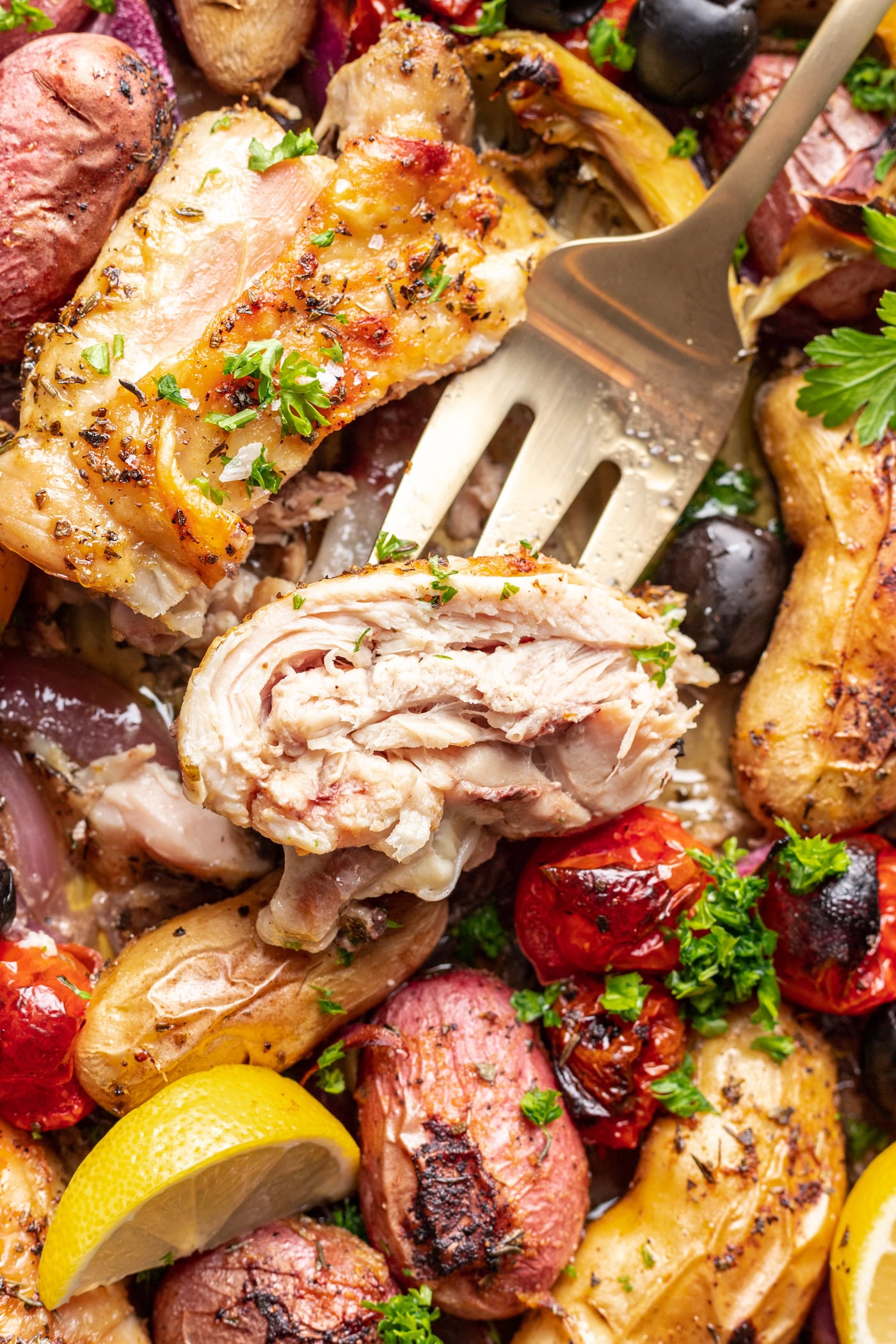 piece of roasted chicken thigh with a fork