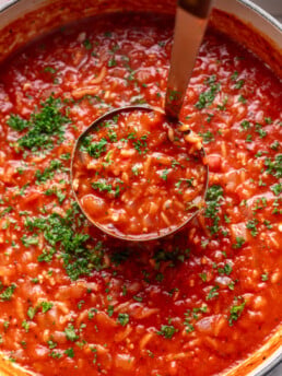 ladle scooping out tomato rice soup in a pot