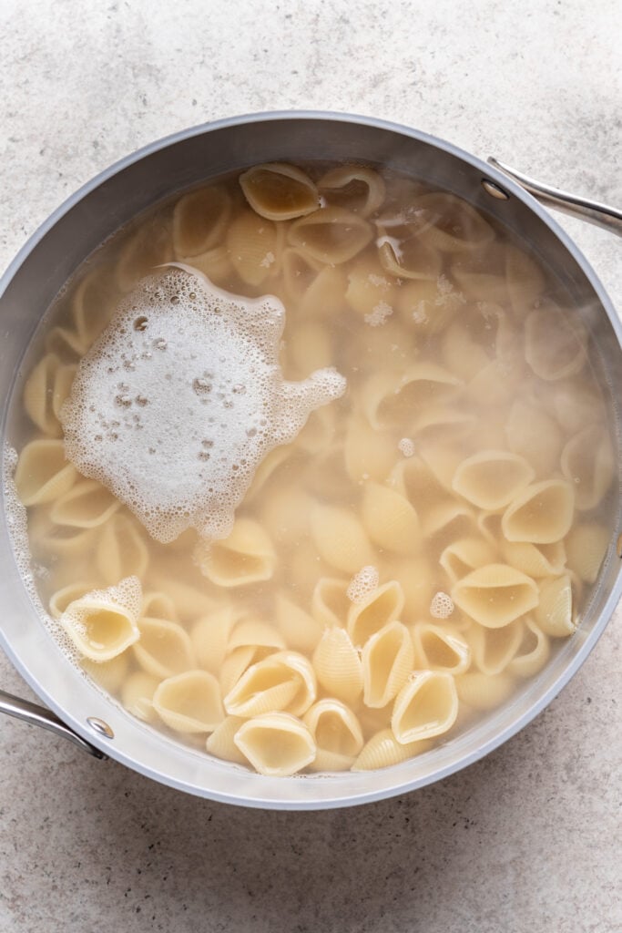 pot of shell noodles in water