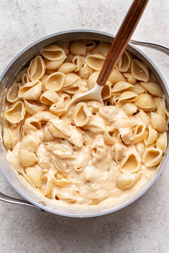 cooked pasta shells in a pot with cheese sauce